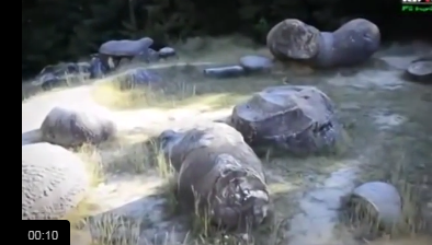Video: Bí ẩn ‘rùng rợn’ những hòn đá biết ‘đẻ con’ khiến nhà khoa học kinh ngạc
