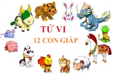  Tử vi 12 con giáp hôm nay thứ ba ngày 10/10/2017