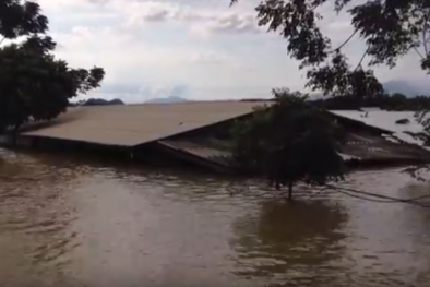 Video: Cận cảnh đê vỡ ở Chương Mỹ, nhấn chìm cả vùng trong biển nước
