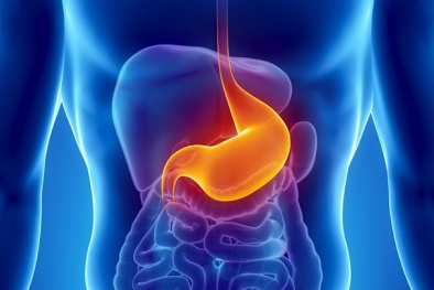 7 bộ phận 'không quan trọng' trên cơ thể dù cắt bỏ con người vẫn có thể sống sót