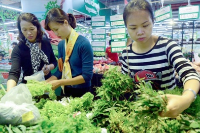 Giá cả thị trường ngày hôm nay (16/10): Bão số 11 suy yếu gây mưa, giá rau xanh tăng tại Hà Nội