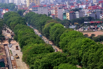 Ngày 18/10, Hà Nội bắt đầu chặt hạ, di dời gần 1.300 cây xanh ở đường Phạm Văn Đồng