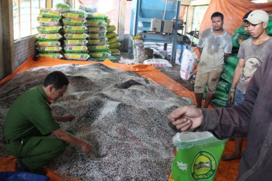 Trà Vinh phát hiện 1 mẫu phân bón giả, 4 mẫu kém chất lượng