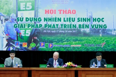 Sử dụng nhiên liệu sinh học: 'Lợi kép' cho người tiêu dùng và nền kinh tế