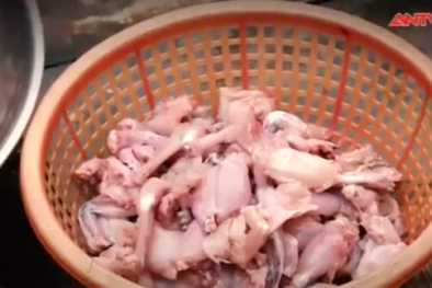 Sự thật kinh hoàng sau món lẩu ếch nóng hổi, giá chỉ 85.000 đồng/nồi