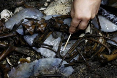 Xác chó phủ đầy vàng tinh khiết được phát hiện giữa trung tâm thành phố