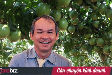 Bầu Đức bán loạt tài sản trả nợ, chăm chỉ bán chuối, chanh, mít, bơ