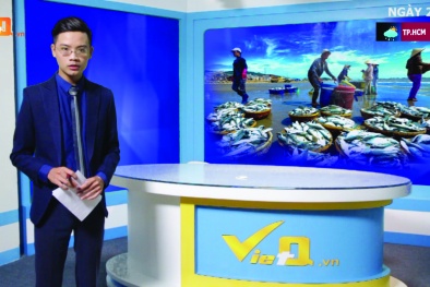 Bản tin Tiêu dùng: Hải sản Việt Nam chính thức bị EU phạt thẻ vàng 