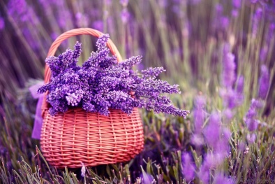 Tử vi hôm nay thứ hai ngày 30/10/2017 của 12 con giáp