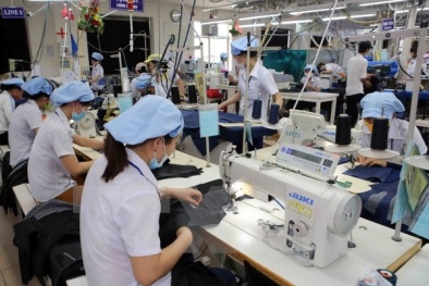 Chi cục TCĐLCL TP.HCM đẩy mạnh hoạt động năng suất chất lượng