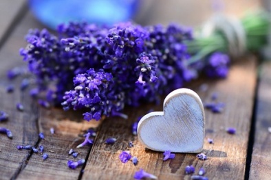 Tử vi hôm nay, thứ Sáu ngày 3/11, của 12 con giáp