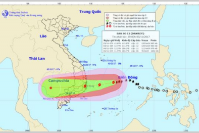 Bão số 12 áp sát Khánh Hòa-Ninh Thuận: Cảnh báo lũ và triều cường từ Trung Bộ đến Nam Bộ