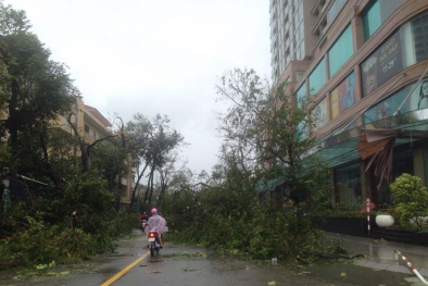 Bão số 12 khiến 37 người chết và mất tích, 531 nhà bị đổ sập, 23.755 nhà tốc mái và hư hỏng