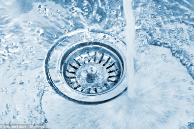 Cảnh báo: Các bồn rửa trong nhà bếp và nhà tắm có thể chứa vi khuẩn chết người 