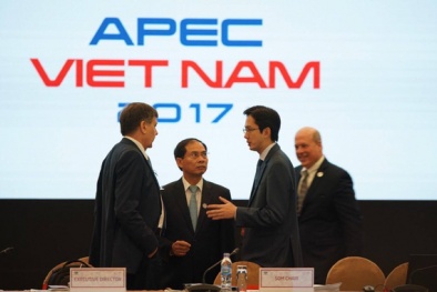APEC 2017: Khai mạc sự kiện mở đầu Tuần lễ Cấp cao APEC
