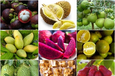 Để xuất khẩu nông sản nhiều hơn, không chỉ là câu chuyện chất lượng