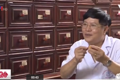 Lương y vạch mặt dược liệu thần thánh