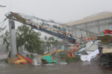 Thống kê ban đầu về thiệt hại của cơn bão số 12