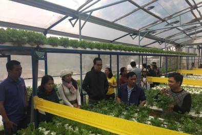 MM Mega Market Việt Nam đặt mục tiêu tăng sản lượng rau củ