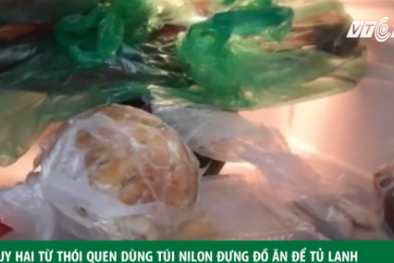 Nguy hại từ thói quen dùng túi nilon đựng thức ăn để trong tủ lạnh