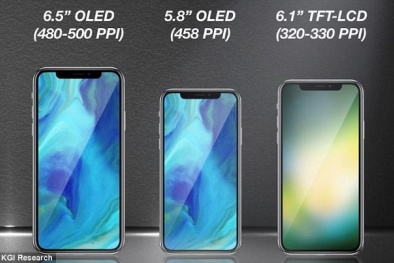 Lộ diện iPhone XL màn hình lớn nhất 6,5 inch sẽ ra mắt năm 2018?