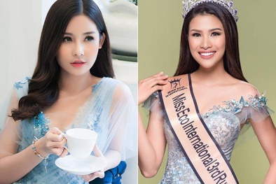 Hoa hậu Đại dương Ngân Anh viết ‘tâm thư’ xin lỗi Nguyễn Thị Thành