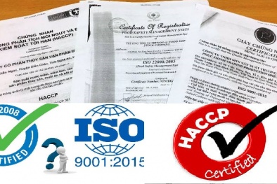 Nhiều doanh nghiệp ‘sập bẫy’ bởi các công ty chứng nhận ‘ma’