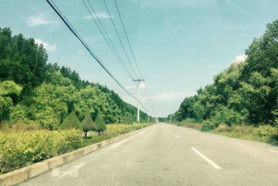 Bất động sản Cần Giờ: ‘Cơn sốt’ vẫn chưa giảm