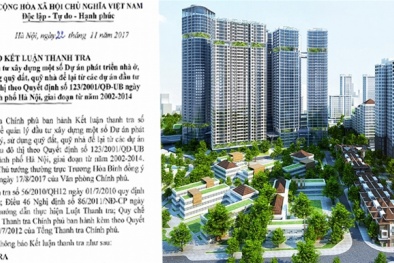 Hàng loạt doanh nghiệp tại Hà Nội bị thanh tra gọi tên vì sai phạm nghìn tỉ