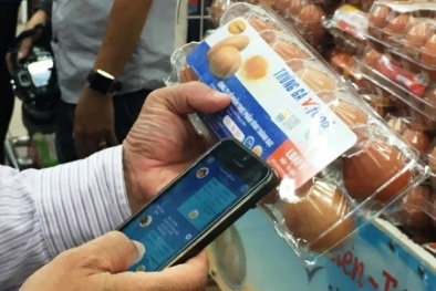 Công nghệ truy xuất nguồn gốc: Minh bạch chất lượng trong chuỗi sản xuất