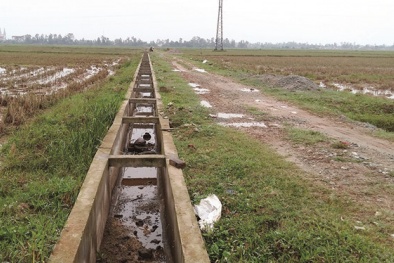 Nhiều sai phạm tại dự án cấp bách chống hạn ở Nghệ An