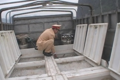 Quảng Ninh: 6.000 con cá Song giống không rõ nguồn gốc đã bị tịch thu