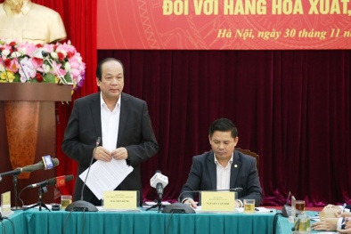 Thủ tục kiểm tra chuyên ngành dài tới 5 ngày, Chính phủ yêu cầu Bộ GTVT đẩy mạnh cải cách