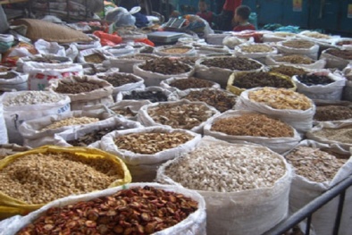 Cẩn trọng với thuốc đông y chữa ho có thể chế biến bằng dược liệu bẩn