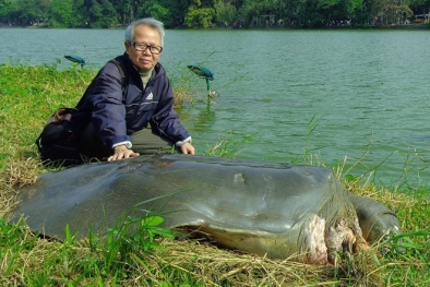 ĐBQH Dương Trung Quốc: Hồ Gươm không nhất định phải có rùa