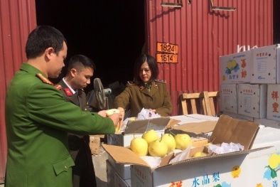 Hà Nội tăng cường xử lý hành vi trốn thuế trong kinh doanh hàng nông lâm thủy sản