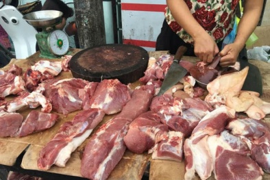 Công bố kết quả thử nghiệm: 100% mẫu thịt gà, lợn, vịt nhiễm khuẩn ecoli