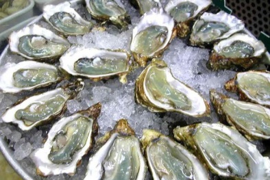 Ăn hàu sống có thể nhiễm trùng máu và tử vong