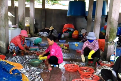 Kinh hoàng quy trình ngâm cá khô bằng... thuốc tẩy giun