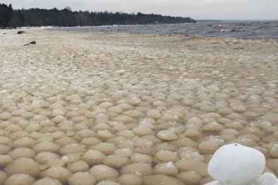 Bí ẩn hàng ngàn 'quả cầu băng giá' trôi dạt bờ biển Nga