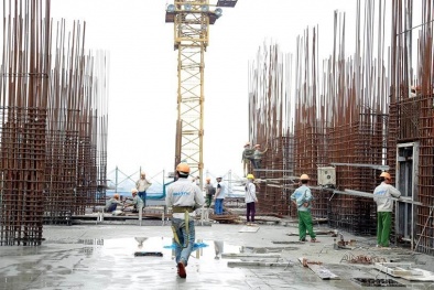 Hai doanh nhân lớn ngành bất động sản - xây dựng dự hội thảo hướng nghiệp cho sinh viên 