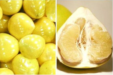 Quả nhập khẩu có màu vàng ươm gây ‘sốt’ thị trường Việt năm 2017