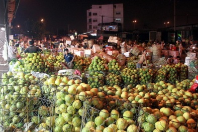 Hà Nội: Có tới 80% trái cây tại các chợ đầu mối không rõ nguồn gốc