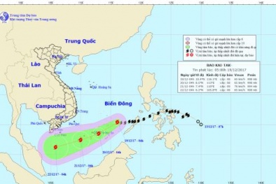 Tin mới nhất về bão Kai-tak trên Biển Đông: Gió giật cấp 11 và khả năng mạnh thêm 