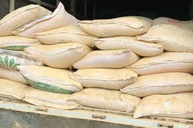 Tác hại kinh hoàng từ việc trộn 'chất xử lý bể bơi' vào thức ăn chăn nuôi