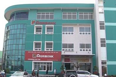 Agribank rao bán nhà máy thủy điện Đăk Mek 3 lần thứ 2 giảm 10% giá đấu