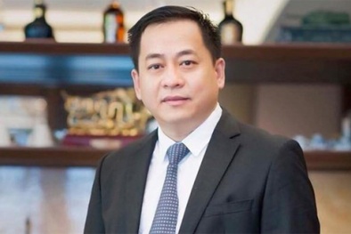 Luật sư nói gì về việc khởi tố Vũ 'nhôm' tội làm lộ bí mật nhà nước?