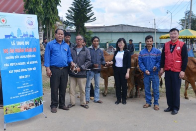 Công ty Sữa cô gái Hà Lan trao tặng 80 con bò cho nông dân nghèo tỉnh Lâm Đồng