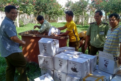 Gia Lai: Phạt 210 cơ sở vi phạm an toàn thực phẩm số tiền 321 triệu đồng