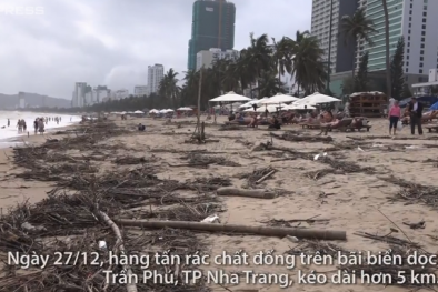 Du khách tắm trên bãi biển Nha Trang ngập rác